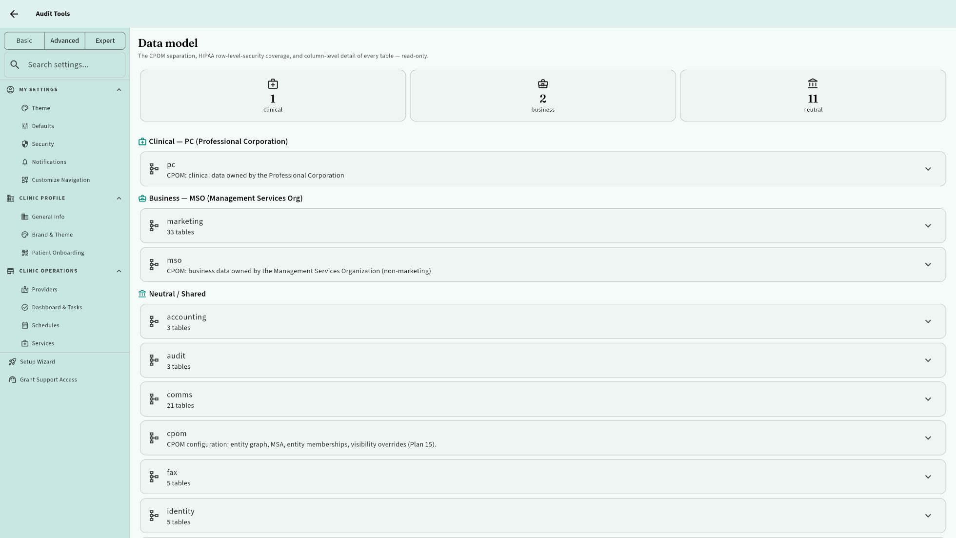 Audit tools: CPOM data-model separation and row-level-security coverage, inspectable in-app